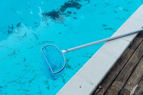 dirty-swimming-pool-with-leaves-dirt-pool-bottom_136875-841